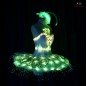 Showgirl led dance tutu light dress